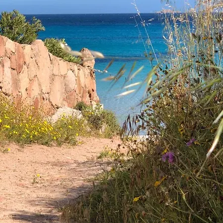 Palombaggia Vila