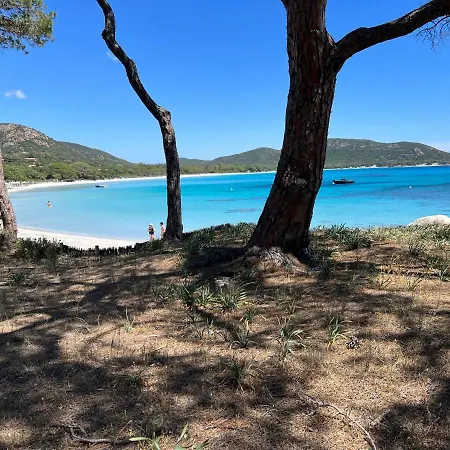 Palombaggia Βίλα Πόρτο Βέκιο