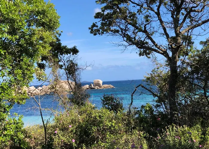 Palombaggia וילה