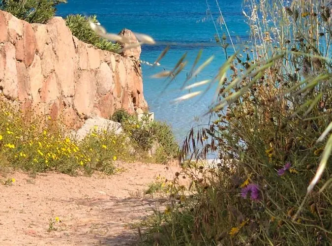 Palombaggia וילה