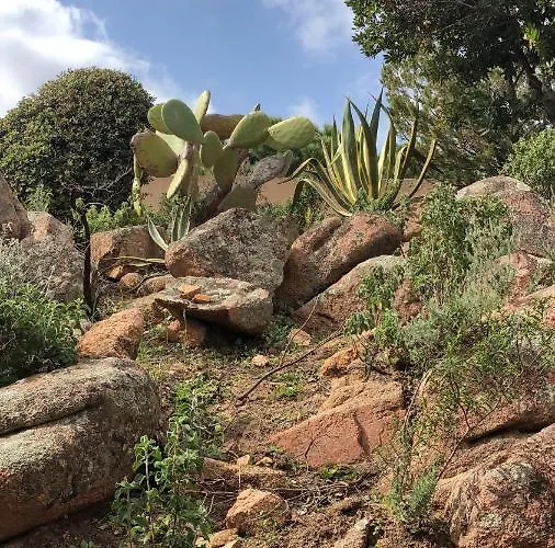 וילה Palombaggia